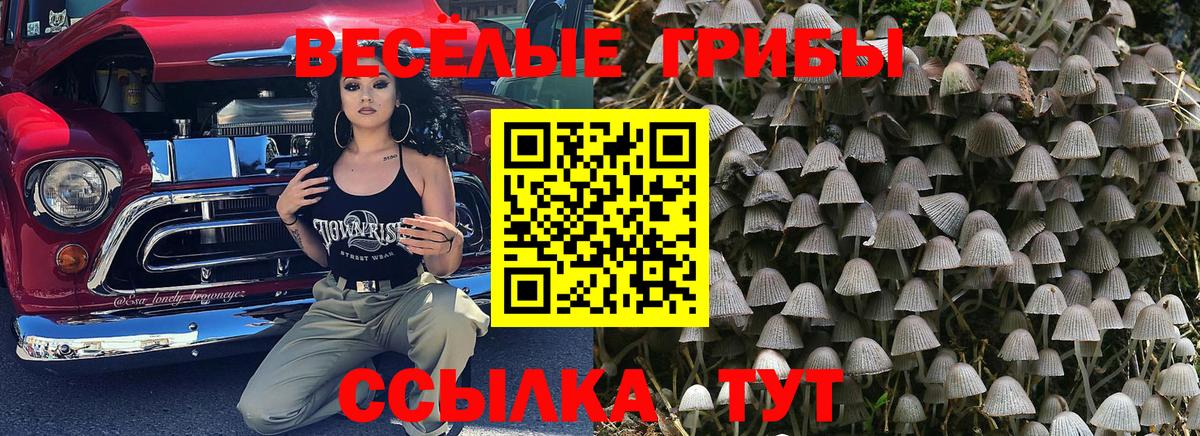 Галлюциногенные грибы ЛСД Заинск