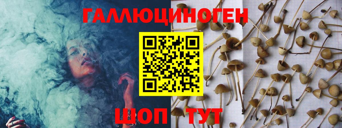 Галлюциногенные грибы GOLDEN TEACHER  Псилоцибиновые грибы мухоморы  Вход с VPN  Заинск 